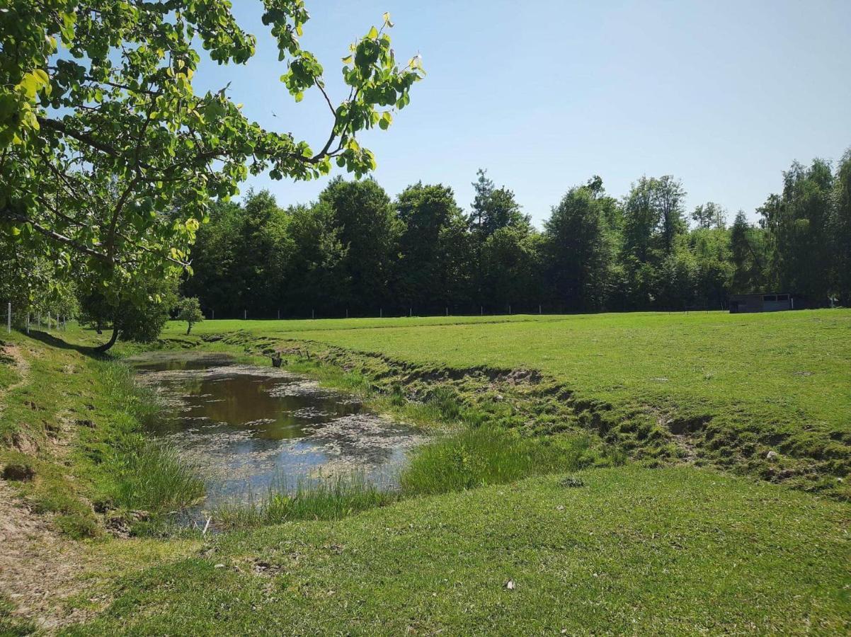 Vila Ignatowka Ujście-Darłowskie Exteriér fotografie